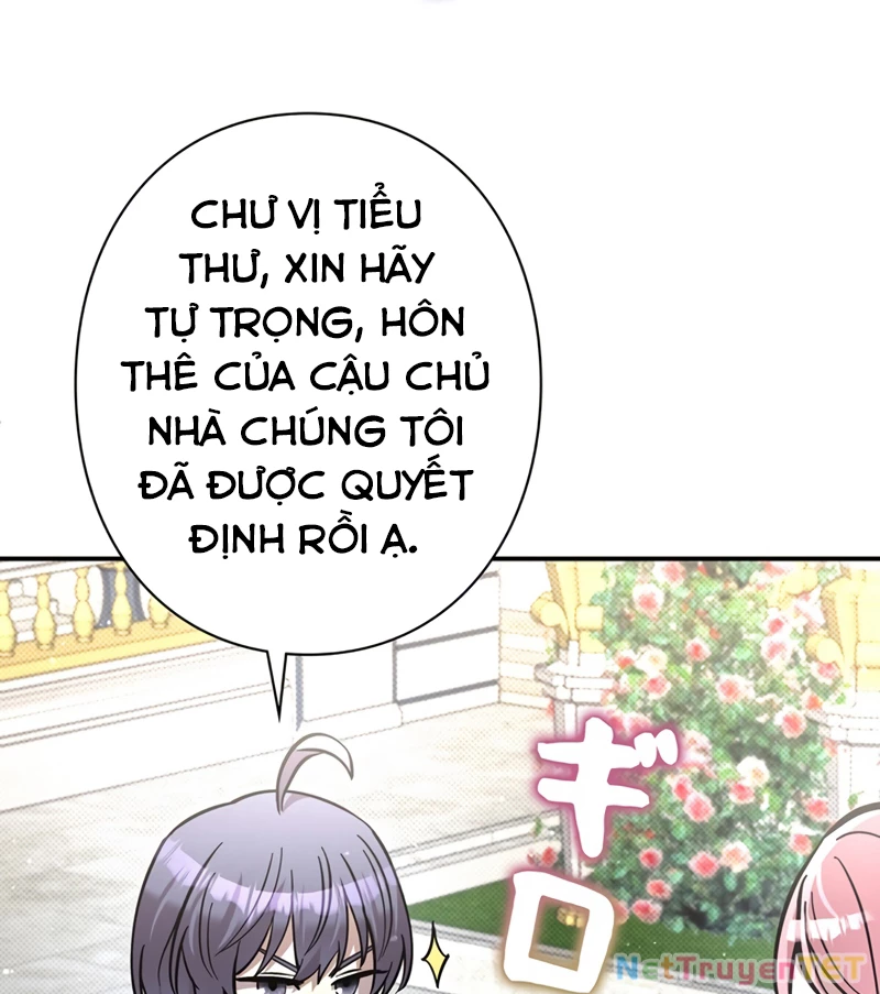 Các Nữ Anh Hùng Muốn Giết Tôi, Một Anh Hùng Chapter 22 - Next Chapter 23