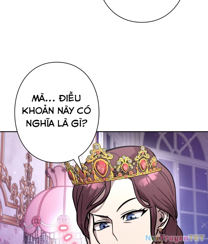 Các Nữ Anh Hùng Muốn Giết Tôi, Một Anh Hùng Chapter 23 - Trang 3