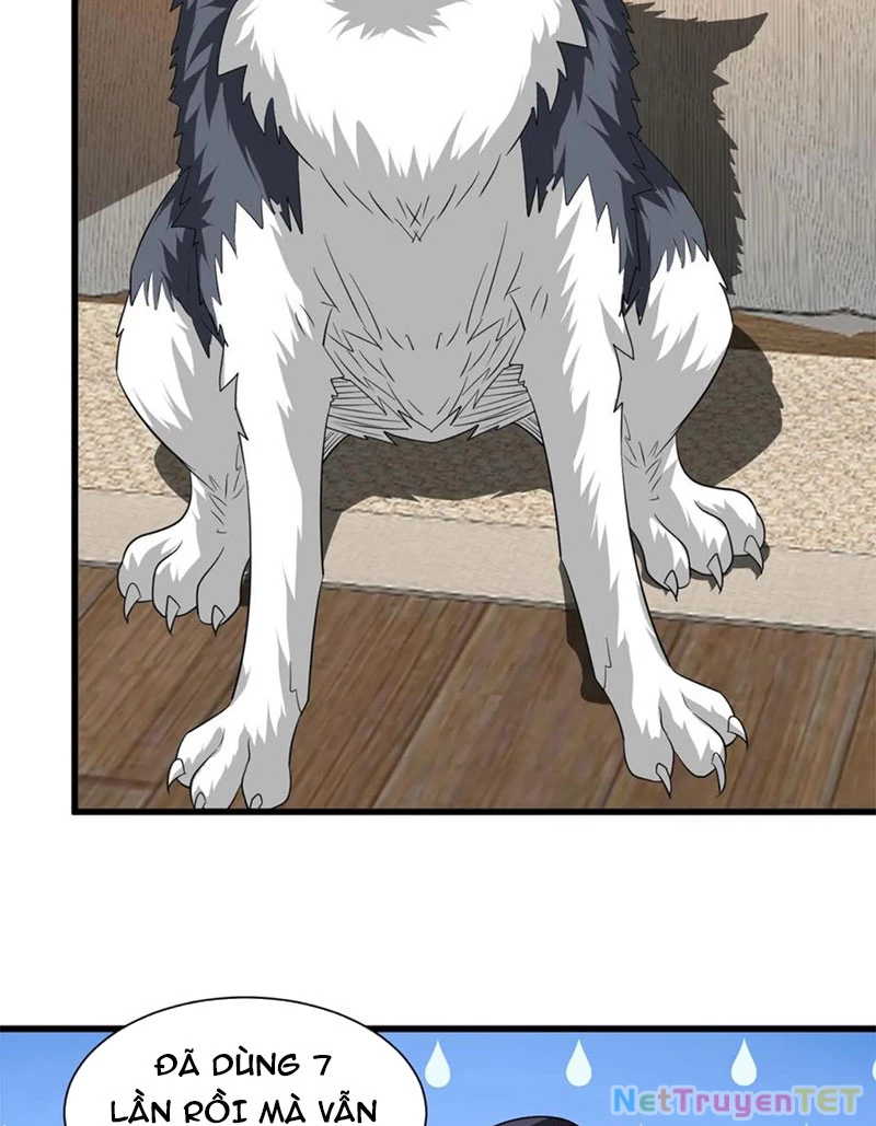 Slime ta treo cự long lên đánh là hợp lý nhỉ? Chapter 276 - Next Chapter 277