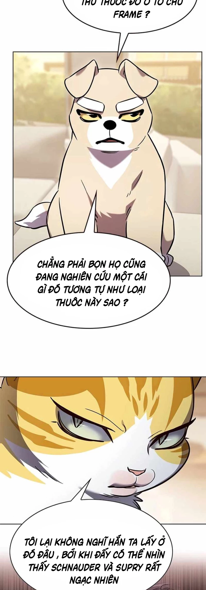 Hoá Thân Thành Mèo Chapter 336 - Next 