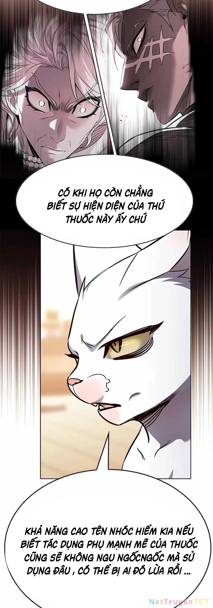 Hoá Thân Thành Mèo Chapter 336 - Next 