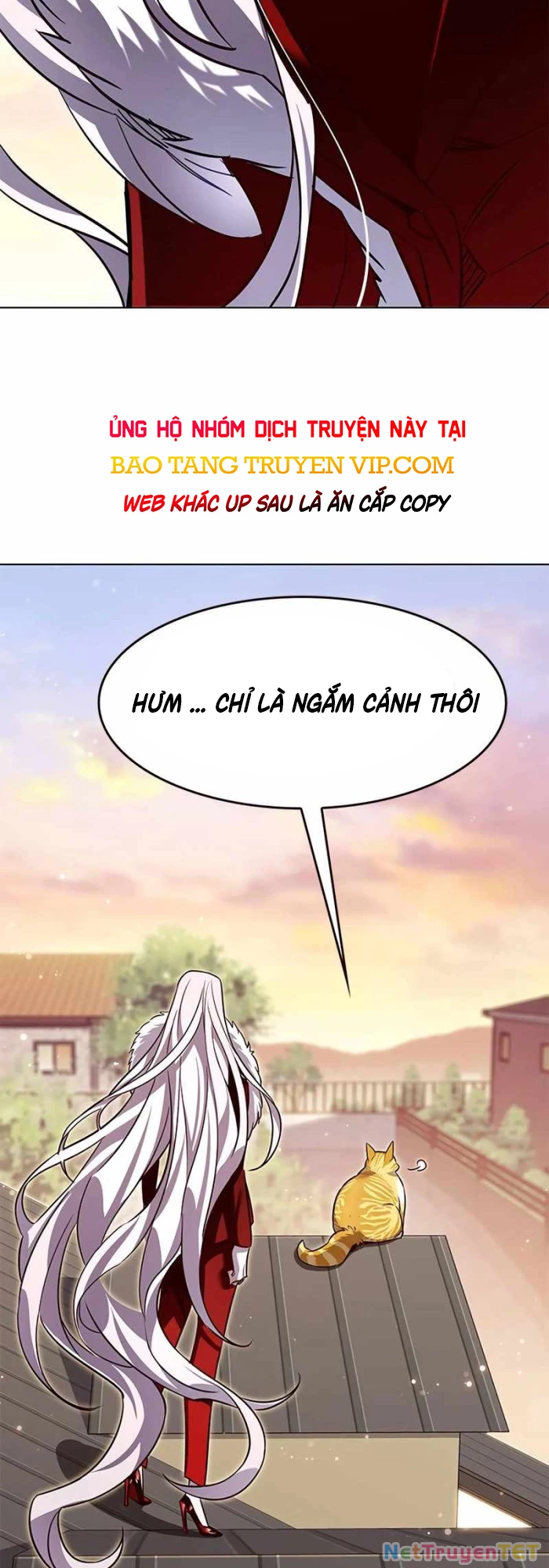 Hoá Thân Thành Mèo Chapter 336 - Next 