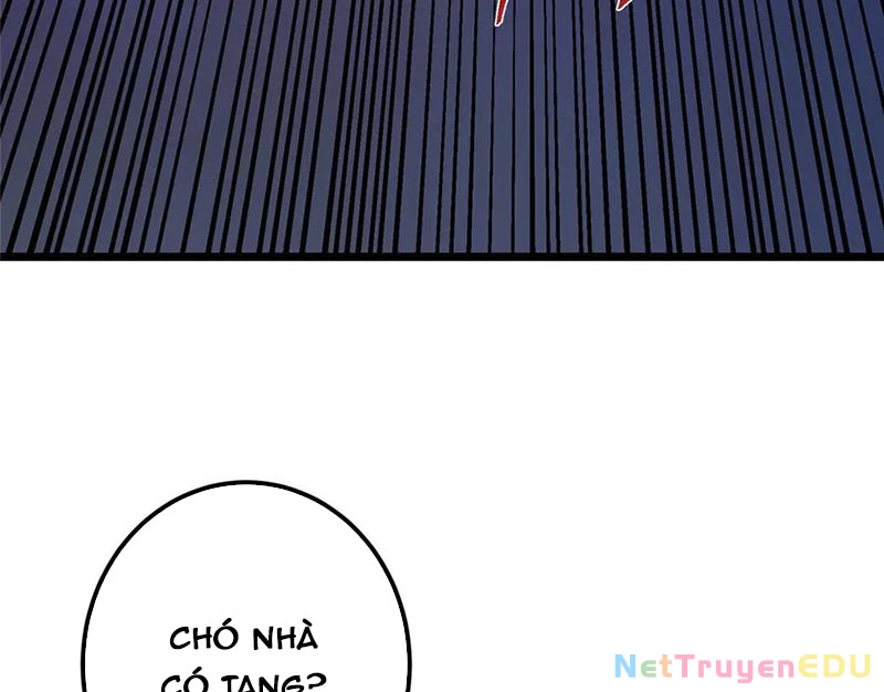 Chưởng Môn Khiêm Tốn Chút Chapter 470 - Trang 4
