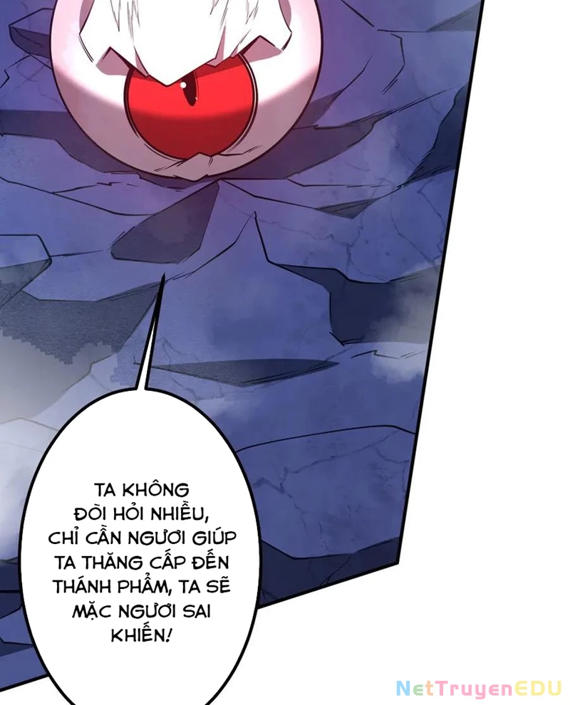 Bắt Đầu Với Trăm Vạn Minh Tệ Chapter 217 - Next Chapter 218