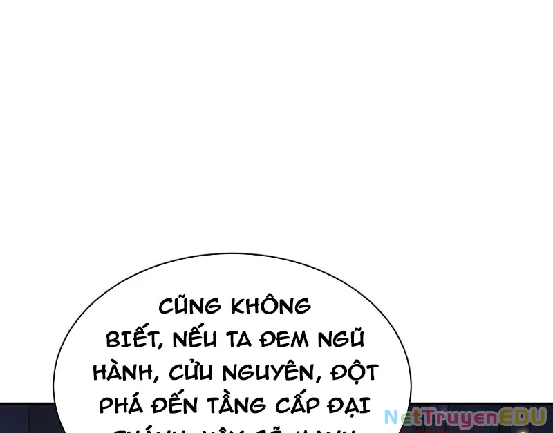 Sư Tôn: Nghịch Đồ Này Mới Không Phải Là Thánh Tử Chapter 114 - Trang 3