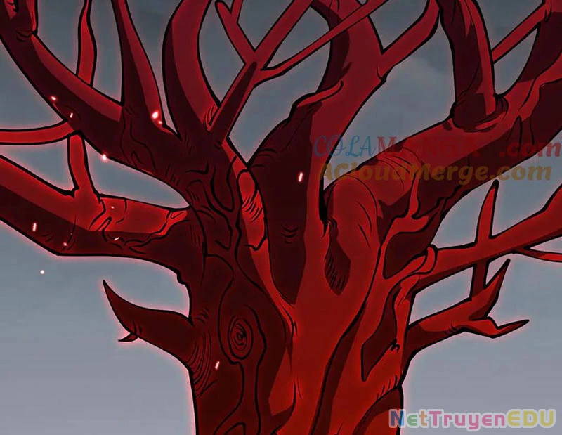 Nhất Quyền Bạo Tinh Chapter 157 - Trang 4