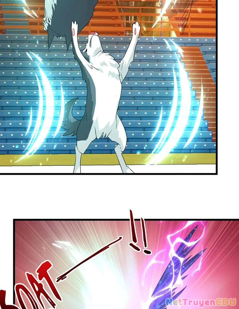 Slime ta treo cự long lên đánh là hợp lý nhỉ? Chapter 303 - Next Chapter 304