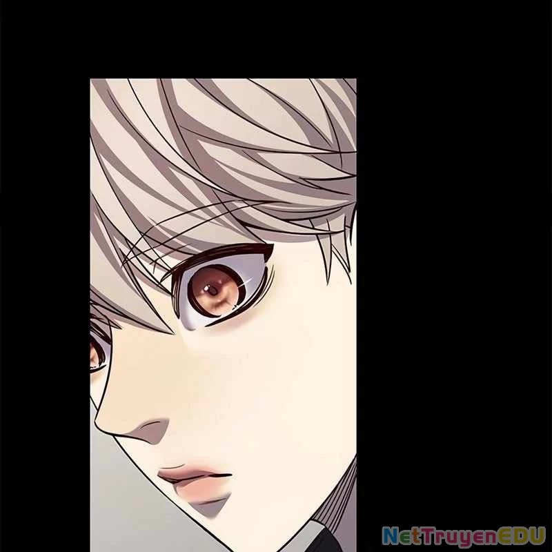 Hoá Thân Thành Mèo Chapter 338 - Trang 4