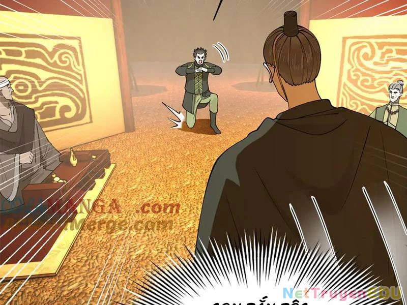 Chàng Rể Mạnh Nhất Lịch Sử Chapter 272 - Trang 4