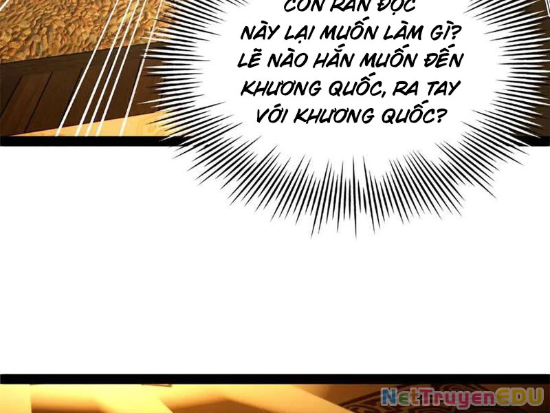 Chàng Rể Mạnh Nhất Lịch Sử Chapter 272 - Trang 4