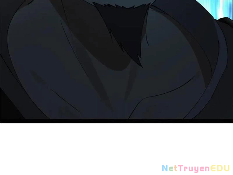 Chàng Rể Mạnh Nhất Lịch Sử Chapter 272 - Trang 4