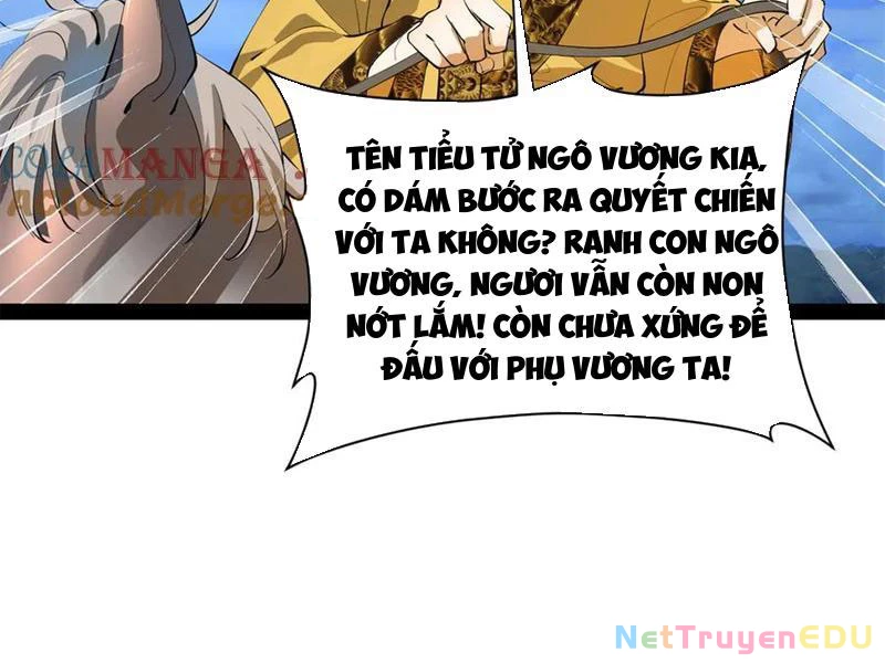 Chàng Rể Mạnh Nhất Lịch Sử Chapter 272 - Trang 4