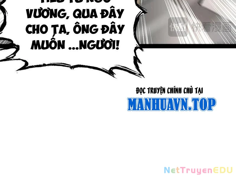 Chàng Rể Mạnh Nhất Lịch Sử Chapter 272 - Trang 4