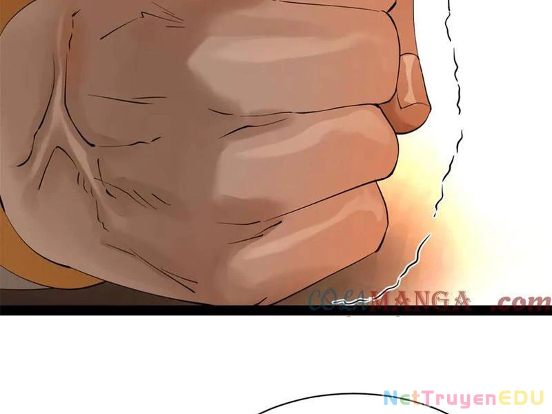 Chàng Rể Mạnh Nhất Lịch Sử Chapter 272 - Trang 4