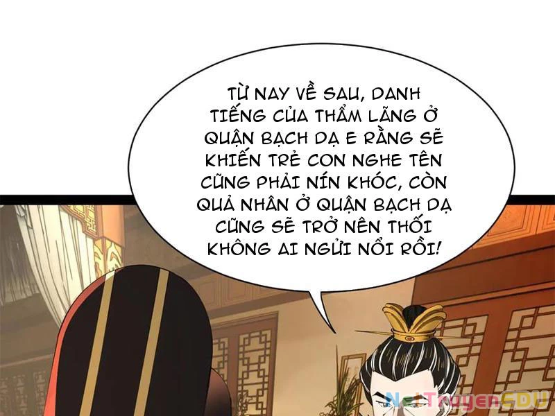 Chàng Rể Mạnh Nhất Lịch Sử Chapter 272 - Trang 4