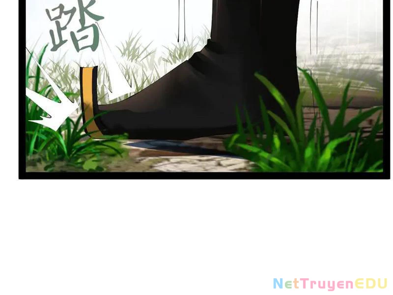 Chàng Rể Mạnh Nhất Lịch Sử Chapter 272 - Trang 4