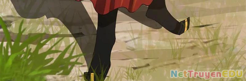 Chàng Rể Mạnh Nhất Lịch Sử Chapter 272 - Trang 4