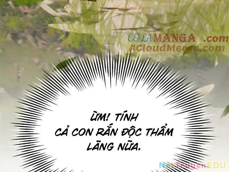 Chàng Rể Mạnh Nhất Lịch Sử Chapter 272 - Trang 4