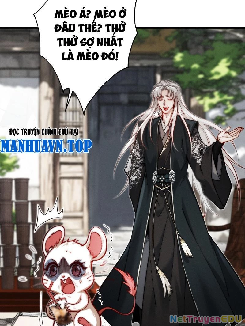 Gặp Mạnh Thì Mạnh, Ta Tu Vi Vô Thượng Hạn Chapter 21 - Trang 4