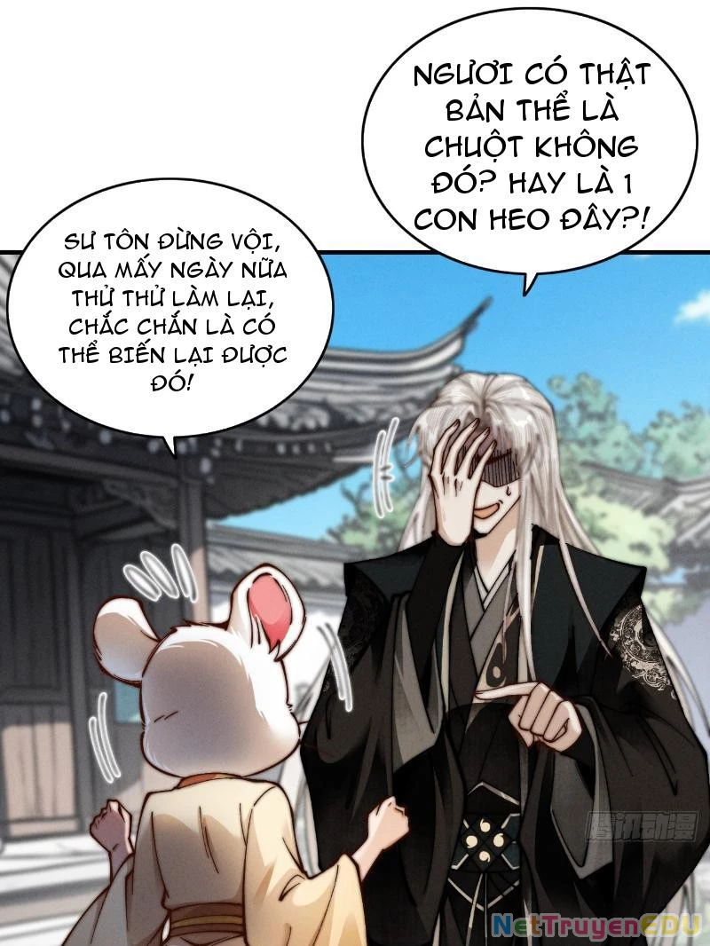 Gặp Mạnh Thì Mạnh, Ta Tu Vi Vô Thượng Hạn Chapter 21 - Trang 4