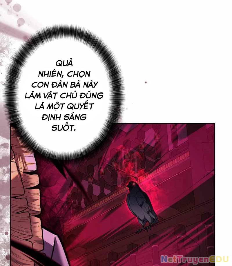 Các Nữ Anh Hùng Muốn Giết Tôi, Một Anh Hùng Chapter 28 - Next Chapter 29