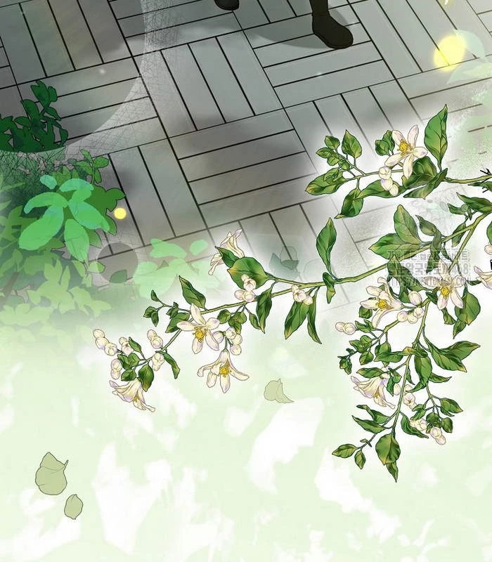Trở Thành Đệ Tử Nhỏ Tuổi Nhất Phái Hoa Sơn Chapter 41 - Trang 3