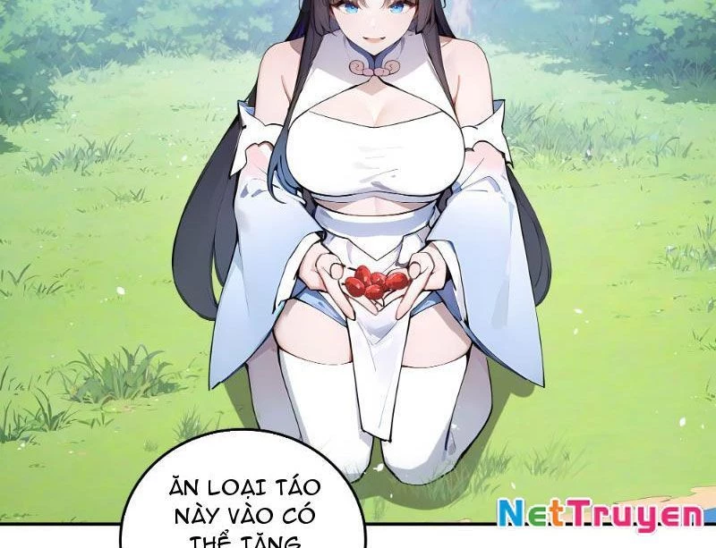 Bách Thê Phổ: Thánh nữ đều gọi ta là phu quân Chapter 1 - Trang 3