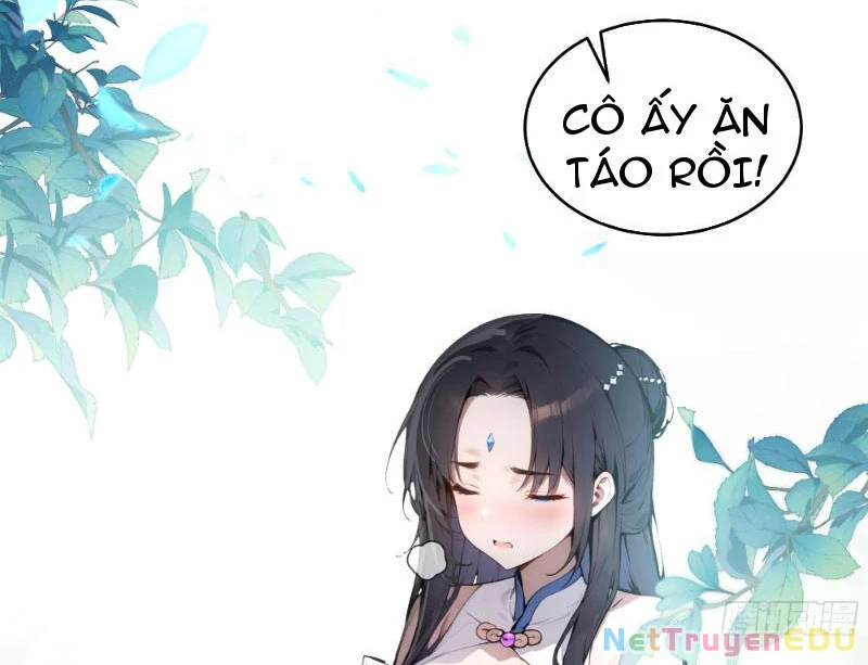Bách Thê Phổ: Thánh nữ đều gọi ta là phu quân Chapter 1 - Next Chapter 2