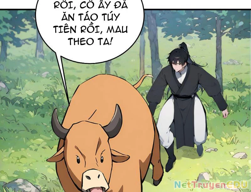 Bách Thê Phổ: Thánh nữ đều gọi ta là phu quân Chapter 1 - Next Chapter 2