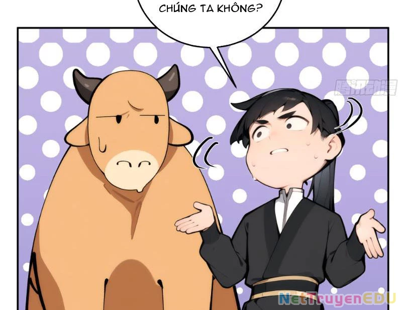 Bách Thê Phổ: Thánh nữ đều gọi ta là phu quân Chapter 2 - Trang 3