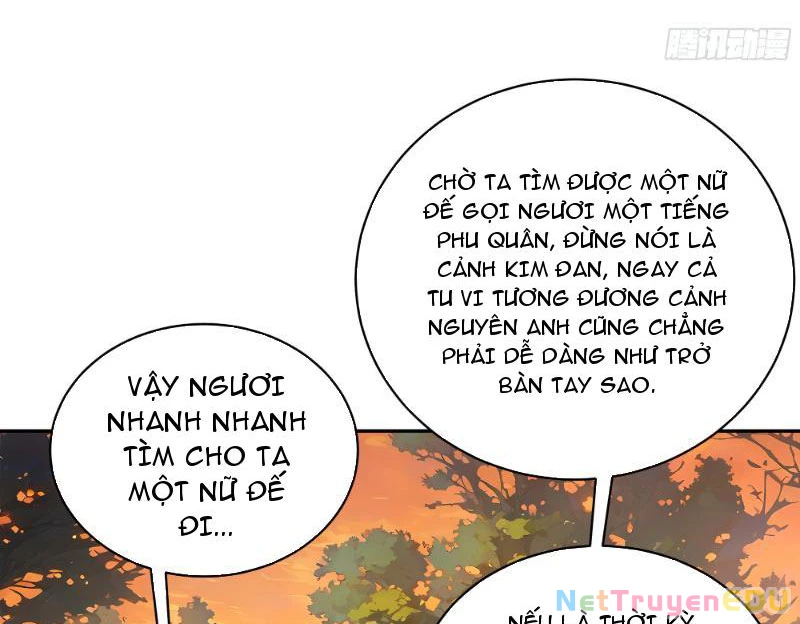 Bách Thê Phổ: Thánh nữ đều gọi ta là phu quân Chapter 2 - Trang 3