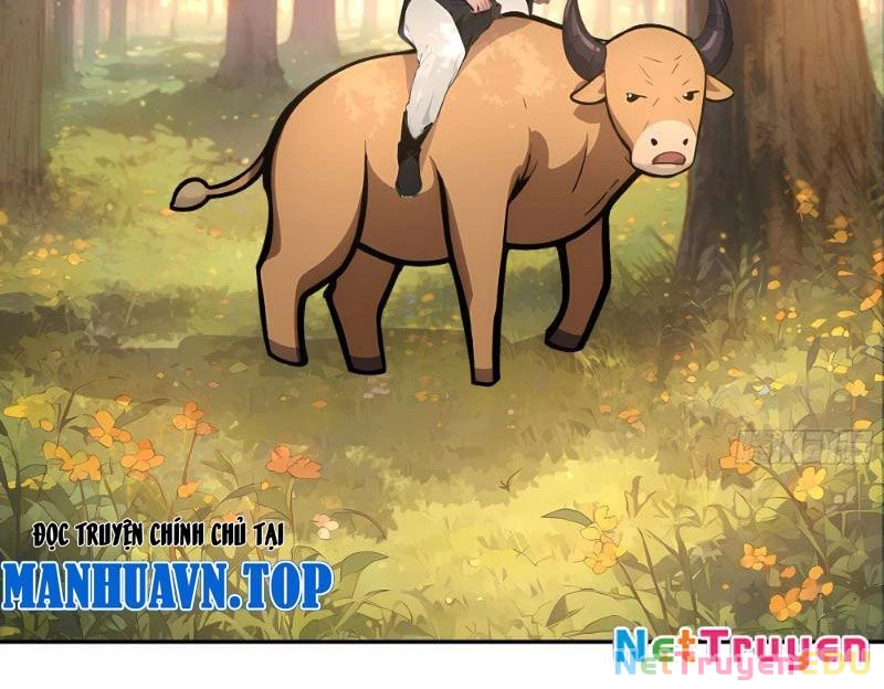 Bách Thê Phổ: Thánh nữ đều gọi ta là phu quân Chapter 2 - Next Chapter 3