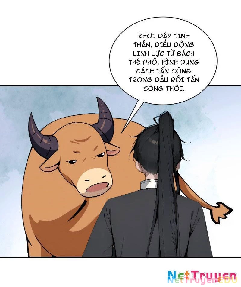Bách Thê Phổ: Thánh nữ đều gọi ta là phu quân Chapter 4 - Next Chapter 5