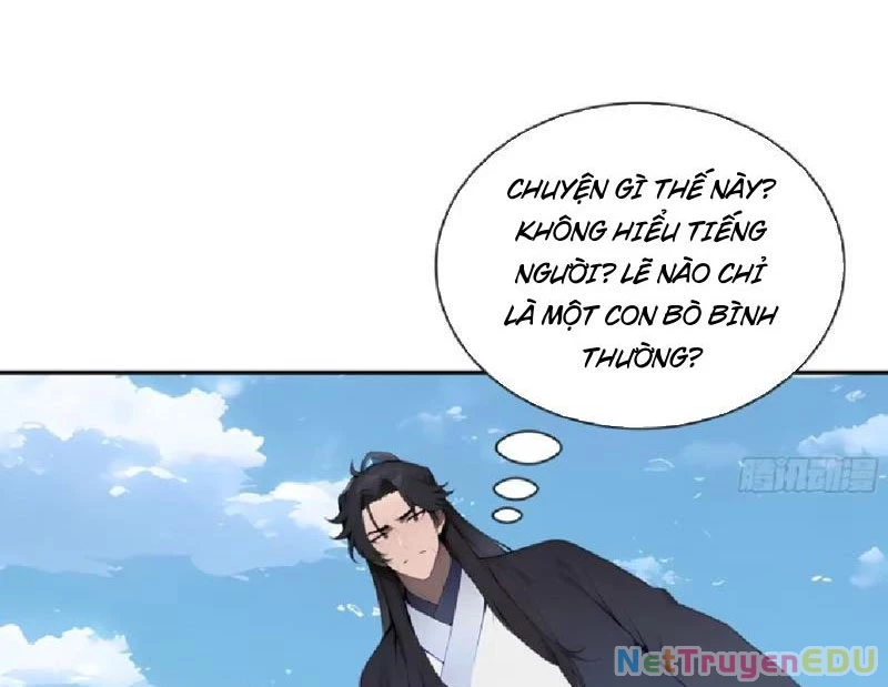 Bách Thê Phổ: Thánh nữ đều gọi ta là phu quân Chapter 6 - Trang 3