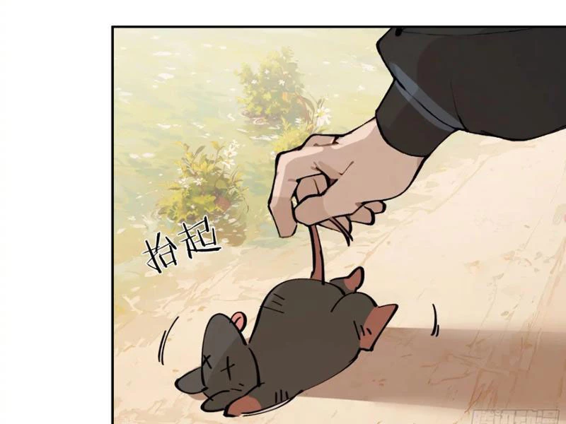 Bách Thê Phổ: Thánh nữ đều gọi ta là phu quân Chapter 15 - Next Chapter 16