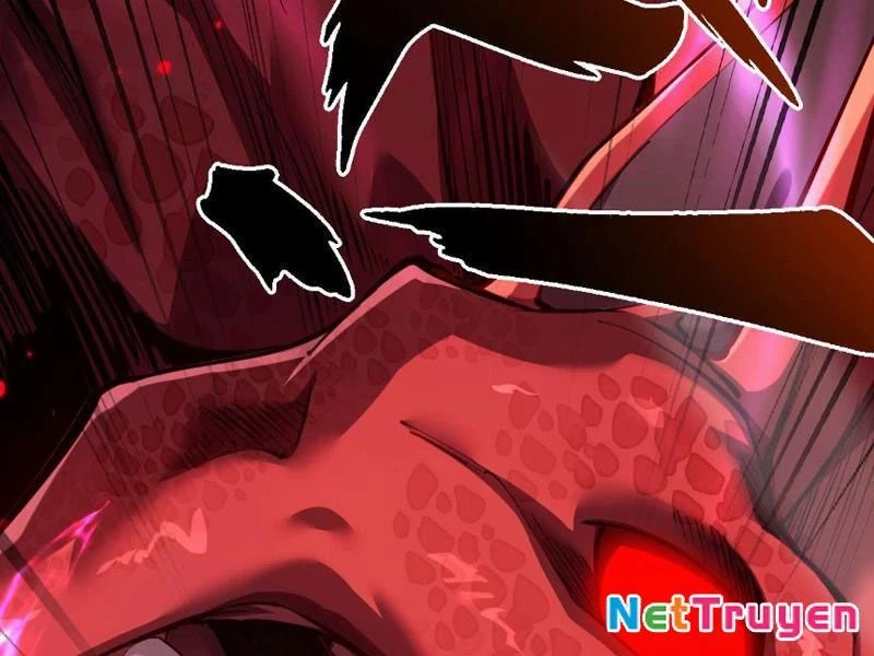 Ngự Thú: Ta Có Thế Thấy Toàn Bộ Chi Tiết Tiến Hóa Chapter 6 - Trang 4