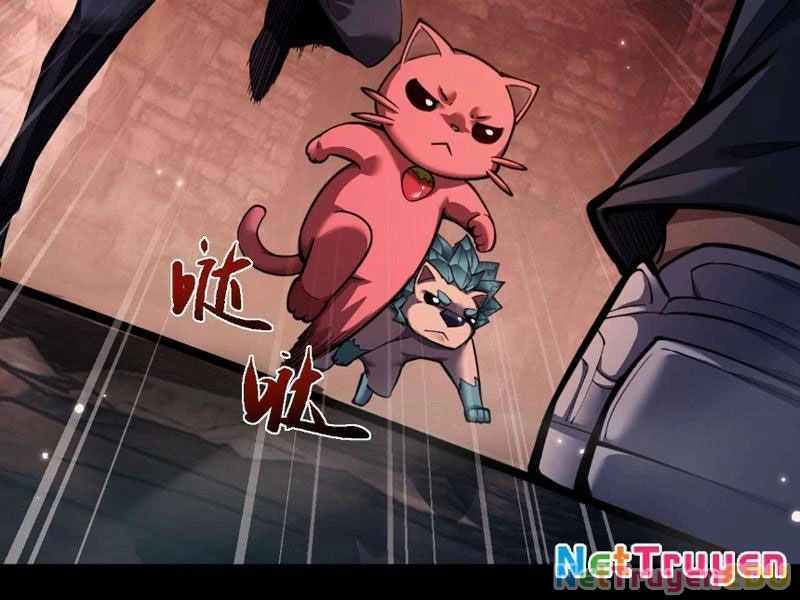 Ngự Thú: Ta Có Thế Thấy Toàn Bộ Chi Tiết Tiến Hóa Chapter 6 - Trang 4