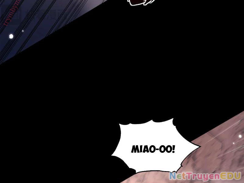 Ngự Thú: Ta Có Thế Thấy Toàn Bộ Chi Tiết Tiến Hóa Chapter 6 - Trang 4