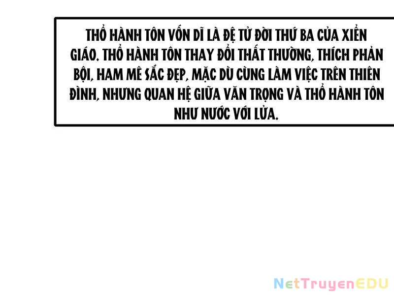 Trụ Vương Tái Sinh Không Muốn Làm Đại Phản Diện Chapter 39 - Trang 3