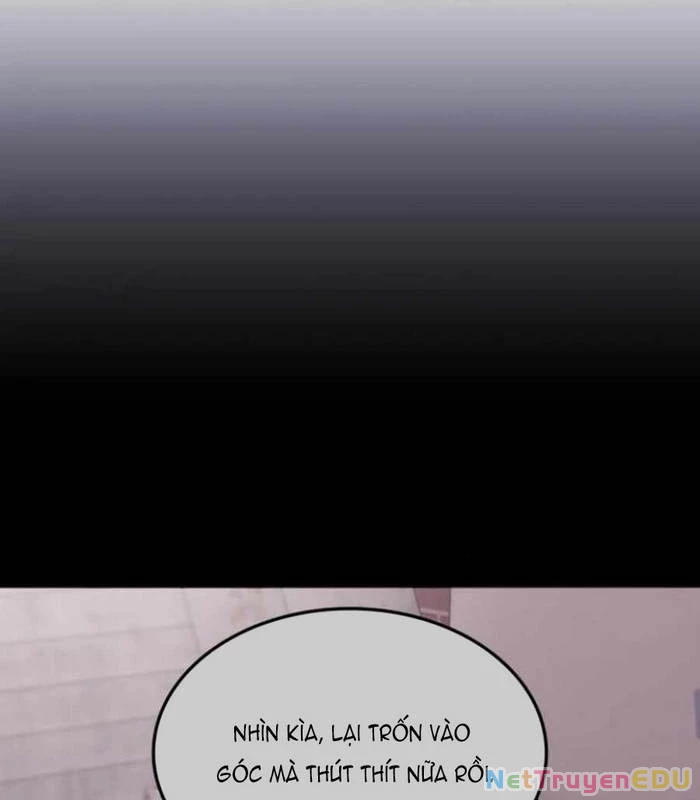 Trị Liệu Sư Quá Mạnh Chapter 20 - Trang 4