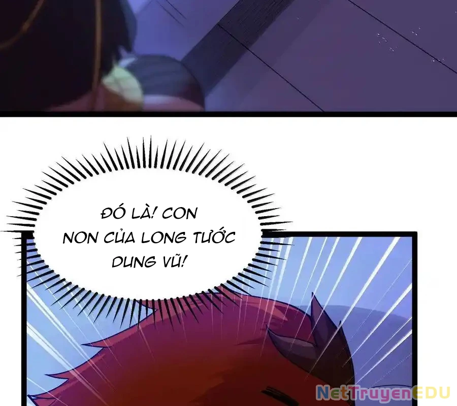 Anh Hùng Giai Cấp Tư Sản Chapter 83 - Trang 2