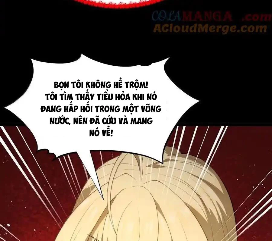 Anh Hùng Giai Cấp Tư Sản Chapter 103 - Trang 4