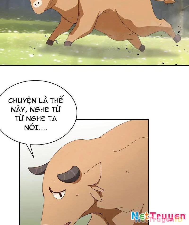 Bách Thê Phổ: Thánh nữ đều gọi ta là phu quân Chapter 34 - Trang 3