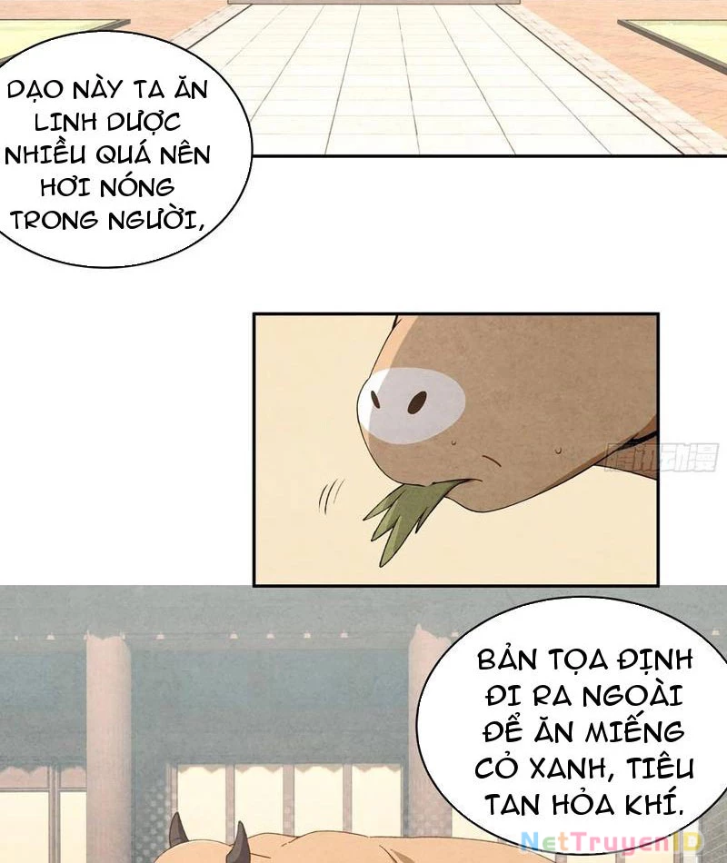 Bách Thê Phổ: Thánh nữ đều gọi ta là phu quân Chapter 34 - Trang 3
