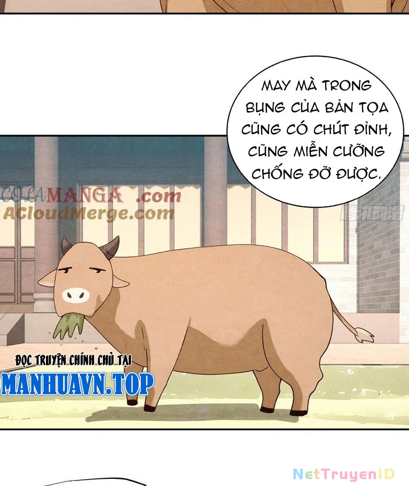 Bách Thê Phổ: Thánh nữ đều gọi ta là phu quân Chapter 34 - Trang 3