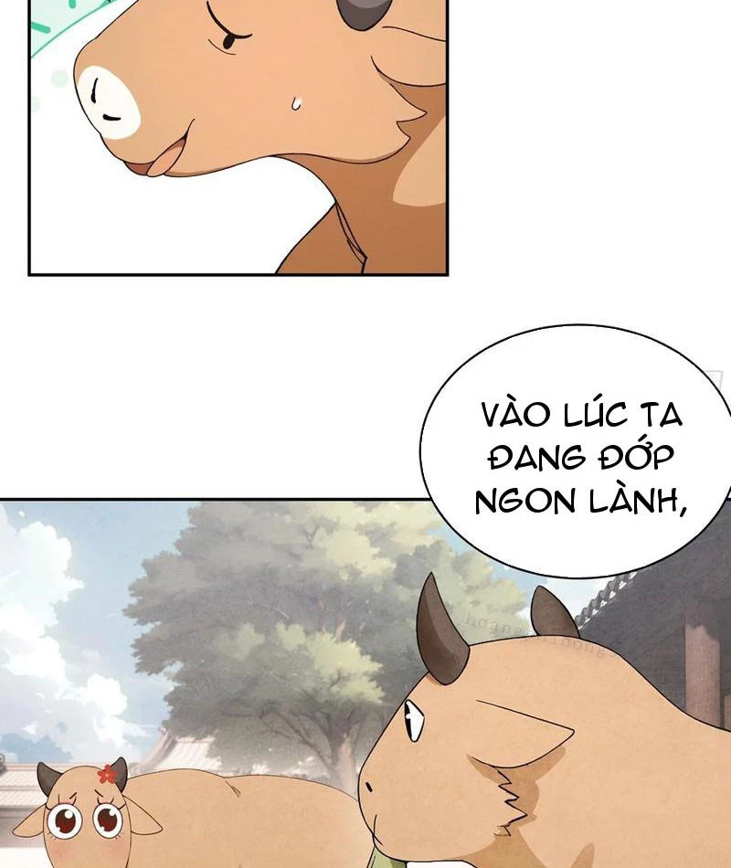 Bách Thê Phổ: Thánh nữ đều gọi ta là phu quân Chapter 34 - Trang 3