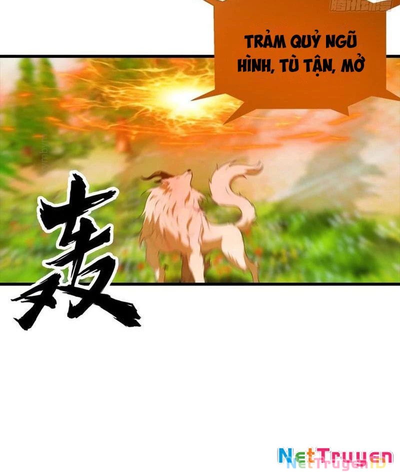 Đô Thị Thánh Thủ: Ta Là Y Võ Đỉnh Phong Chapter 111 - Next Chapter 112