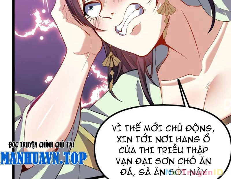 Xuyên Không Đến Thế Giới Tu Chân, Ta Vậy Mà Kích Hoạt Được Hệ Thống Plants vs Zombie Chapter 8 - Next Chapter 9