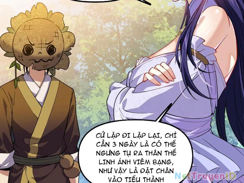 Xuyên Không Đến Thế Giới Tu Chân, Ta Vậy Mà Kích Hoạt Được Hệ Thống Plants vs Zombie Chapter 9 - Trang 3