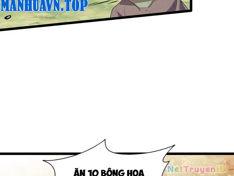 Xuyên Không Đến Thế Giới Tu Chân, Ta Vậy Mà Kích Hoạt Được Hệ Thống Plants vs Zombie Chapter 9 - Trang 3